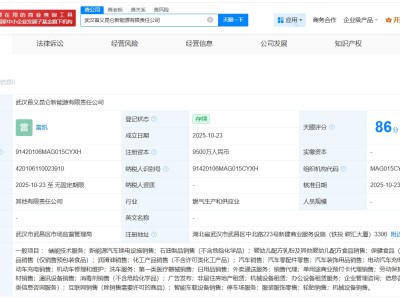 中石油等在武漢成立新能源公司 注冊資本9500萬