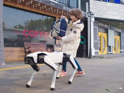 ?家庭機器人二十年突圍：從舞臺“過客”到走進千家萬戶的蛻變之旅?