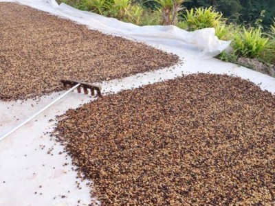 拼多多“千億扶持”半年成效:偏遠地區入“包郵圈”,消費普惠成果顯著