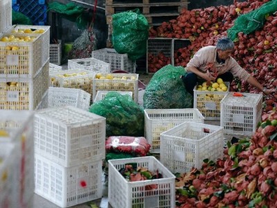 拼多多Q3財報:營收1083億,“千億扶持”助力產業升級與農業發展