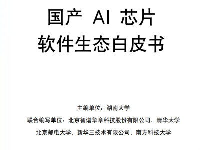 國產AI芯片軟件生態:從“可用”到“卓越”的跨越之路與未來展望