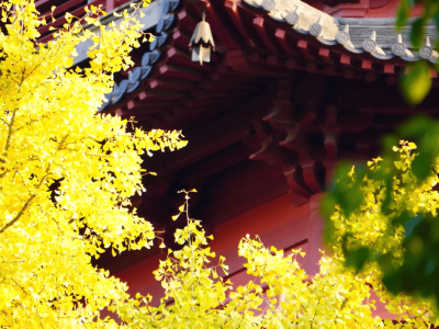 湖城小雪時(shí)節(jié)暖陽相伴,冷空氣將至氣溫起伏大需防范