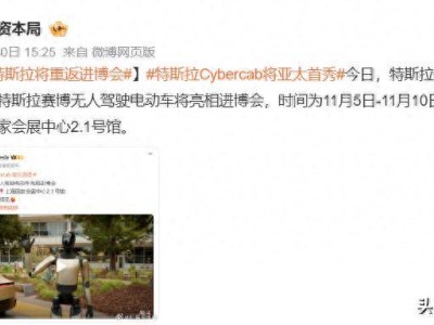 從媒體人到特斯拉全球副總裁:陶琳跨界逐夢的十一載逆襲之路