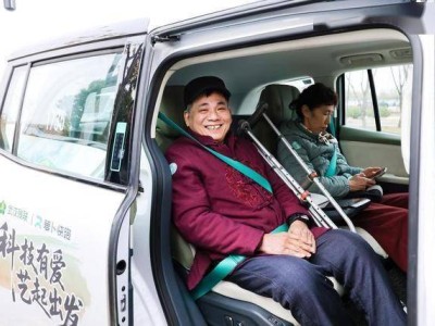 第34個(gè)國(guó)際殘疾人日:蘿卜快跑彩繪車(chē)“駛”出助殘新畫(huà)卷