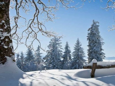 續(xù)航破千公里！中國電動汽車以技術自信引領全球綠色出行新變革