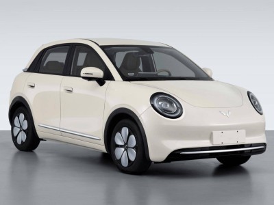 五菱繽果Pro申報信息曝光,圓潤外觀配磷酸鐵鋰蓄電池引關注