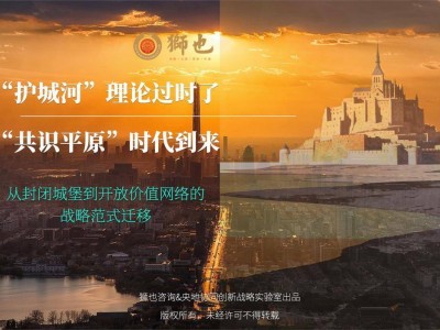 從“護(hù)城河”到“共識(shí)平原”:商業(yè)戰(zhàn)略范式遷移下的新機(jī)遇與挑戰(zhàn)