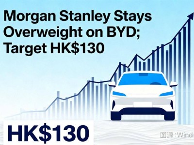 國際投行與長線資金齊加碼,比亞迪憑何成資本“心頭好”?