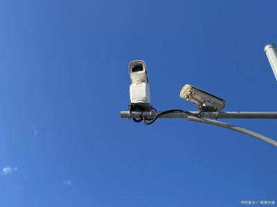 誤闖紅燈別慌神!掌握這些應對法,保住駕照分還能少罰款