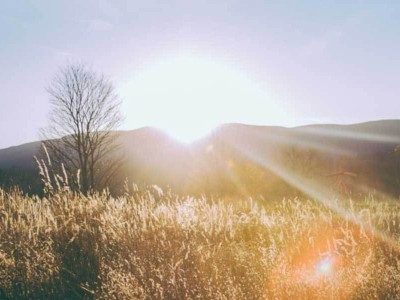 AI賦能材料研發:從漫長試錯到高效創制,開啟科學新篇章