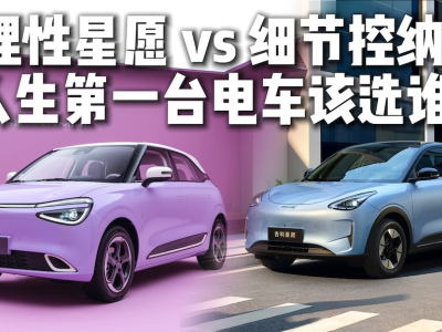 人生首臺電車怎么選?納米01細節貼心,星愿均衡,哪款更合你心意?