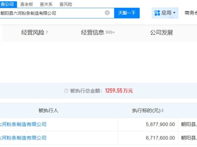 東北雨姐帶貨紅薯粉廠家被執(zhí)行587萬