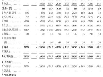 MiniMax通過(guò)上市聆訊：以低投入成全模態(tài)領(lǐng)先，海外營(yíng)收占比超七成